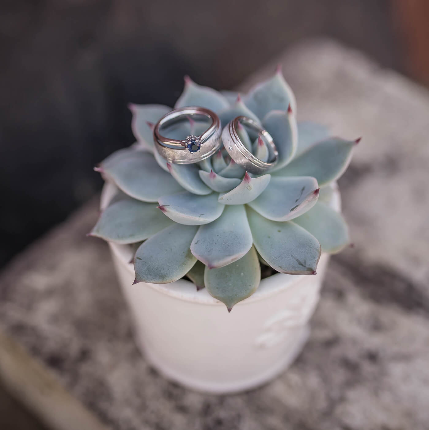 Succulentes photos de mariage